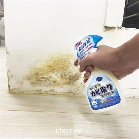 清除牆壁霉菌
